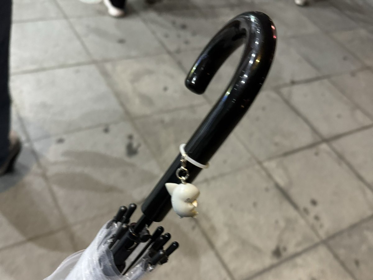 5/5,6 とビバラ2日間行ってきた！
疲労えぐい！！！！！
恋のおまじないちゃんとやったので傘戻ってきましたw