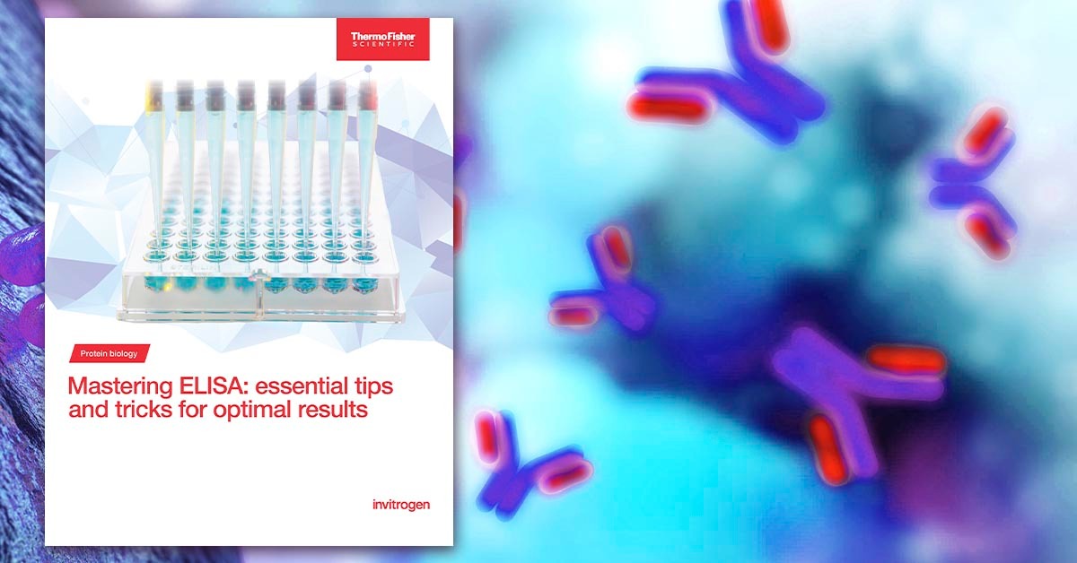 ProteinBiology's tweet image. 🔬 Ready to level up your ELISA experiments? Our FREE ELISA Tips Guide can help you minimize errors and maximize accuracy. 

Start optimizing today! 👉 spr.ly/60142AxW8

#ELISA #ResearchMadeSimple #ThermoFisherScientific