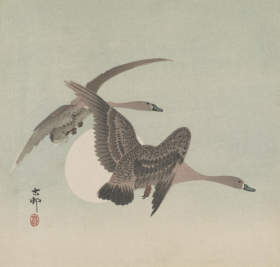 #DonneinArte <a href="/PasqualeTotaro/">Pasquale Totaro</a> e <a href="/tutti/">tutti.ch</a> 
 Ohara Koson🇯🇵  " Two geese in flight and full moon"

 Happy week ahead 

#STOPWAR  #PeaceAndLove ❤️