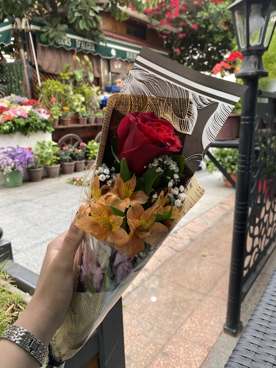 yamnesiaa's tweet image. cousine #capable je suis