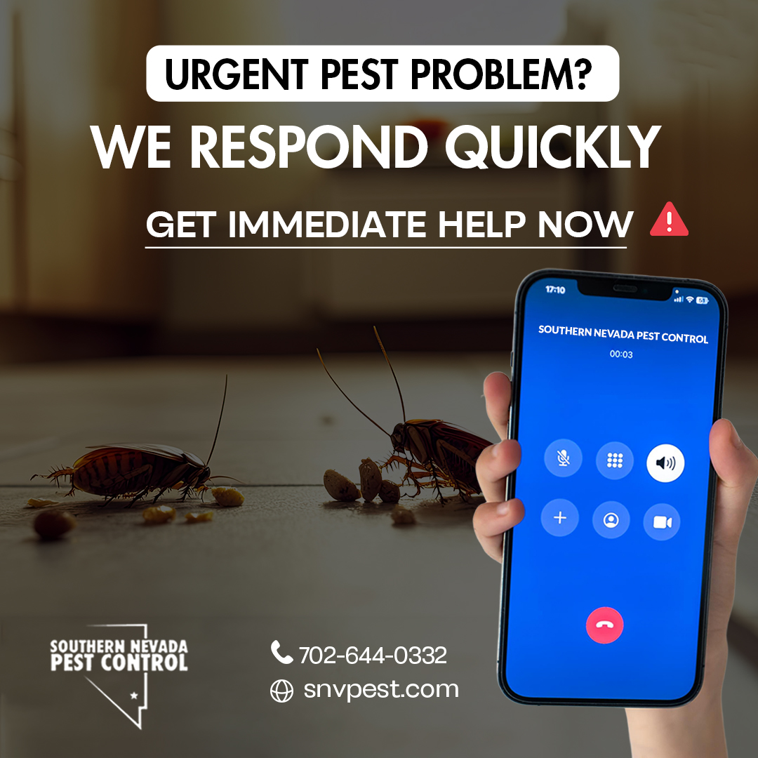SNVPest's tweet image. 🚨 Pest emergency? Our rapid response team handles urgent situations when regular service won&apos;t do. 

Get immediate help! Call Southern Nevada Pest Control:
📞 702-644-0332
🌐 snvpest.com

#EmergencyPestControl #RapidResponse #PestControl