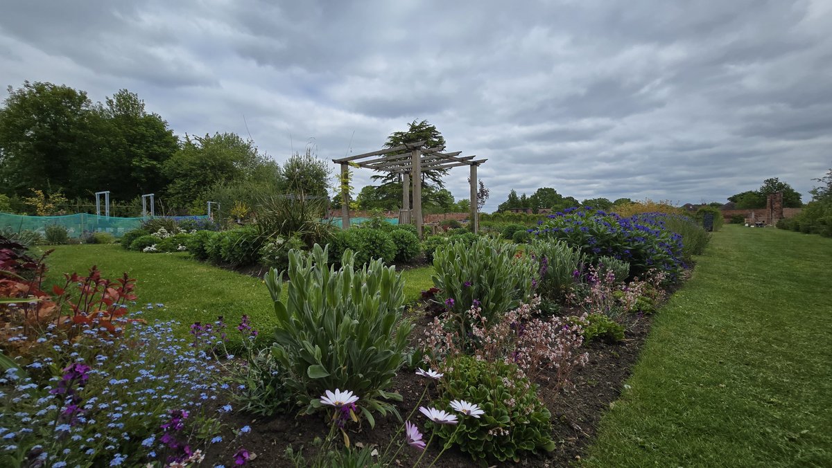 Joe Locker tweet media