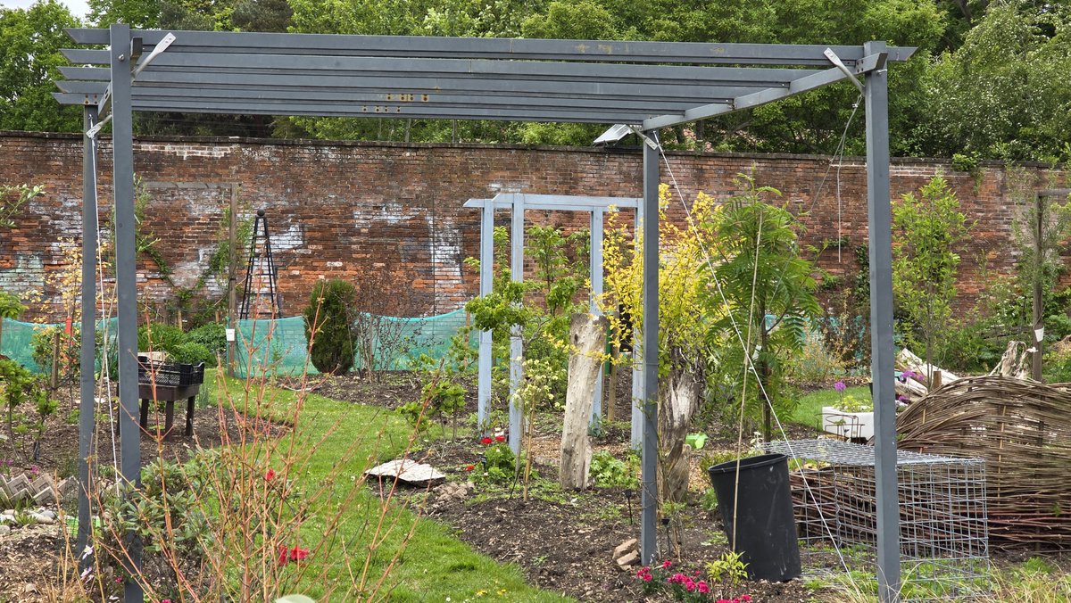 🌿‘A volunteer project like no other’: How Wollaton Park’s abandoned walled garden became an oasis at city landmark🌿

Volunteers from the Walled Garden project took me for a look around today. It is magnificent.

📝Here's how it came to be: nottstv.com/a-volunteer-pr…