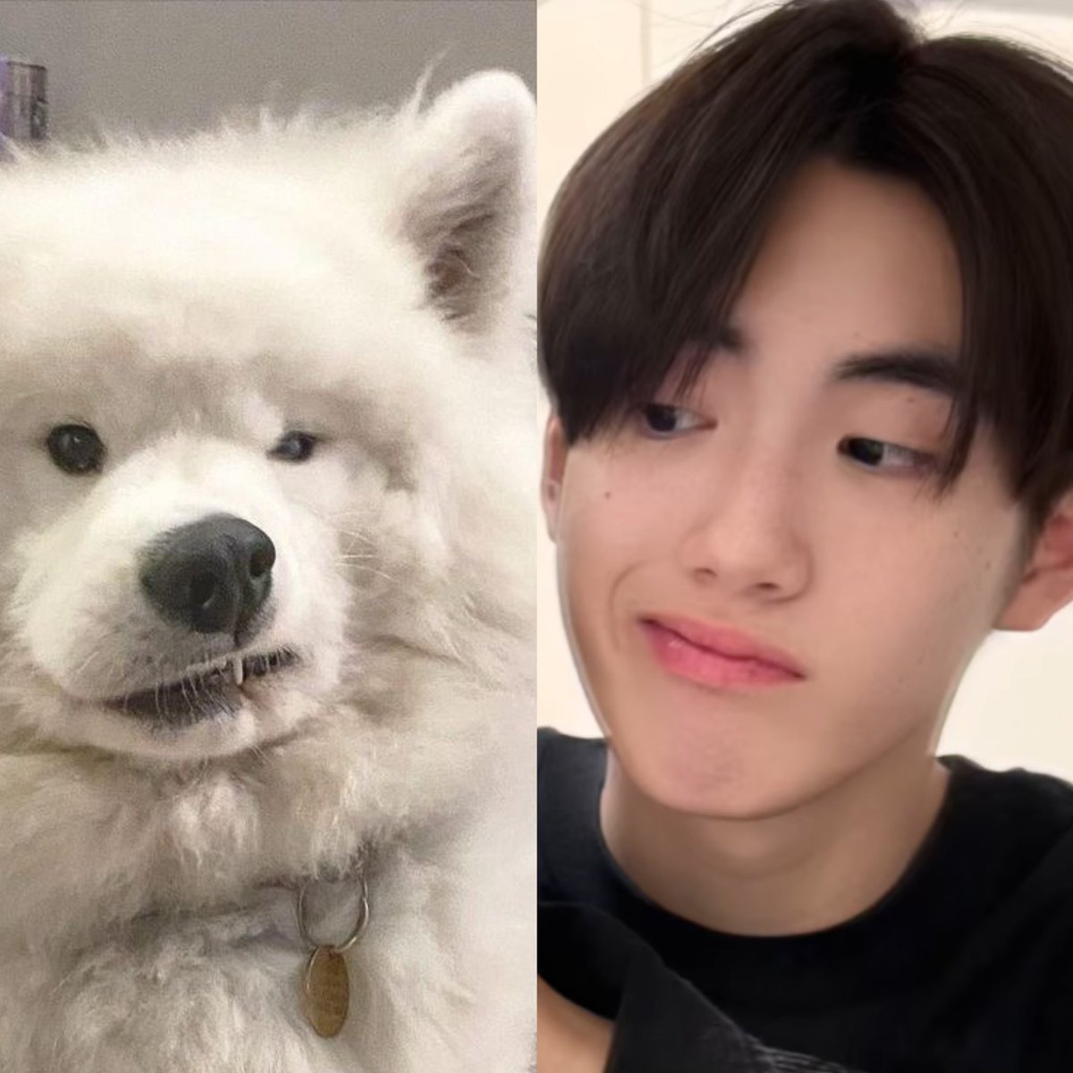 ✧♡𝐰𝐩𝐫𝐚𝐬𝐡𝐢°.⋆ tweet media