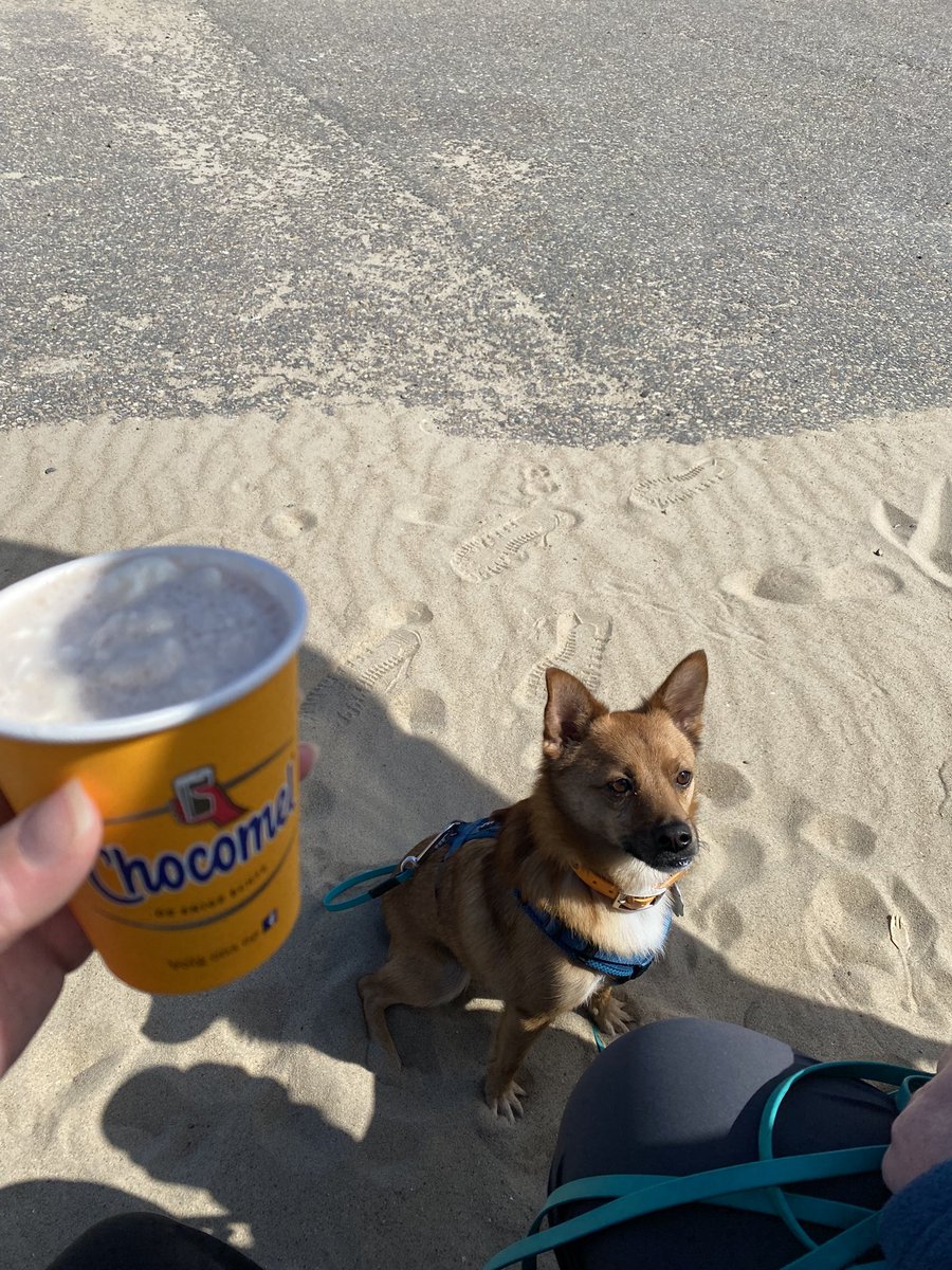 Karfiii's tweet photo. Urlaub https://t.co/96Nhfma8gm