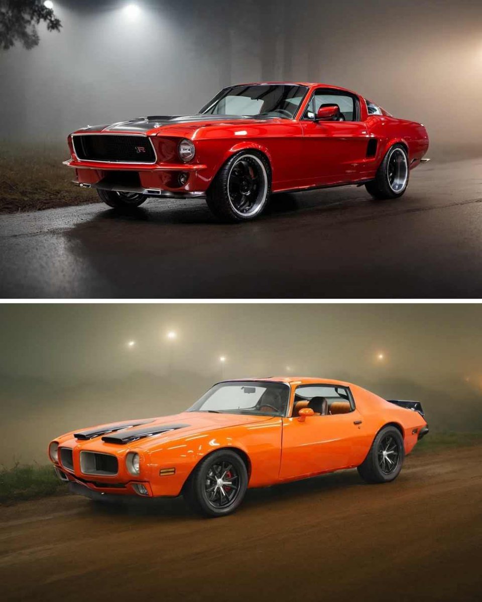 Top or Bottom 🤔