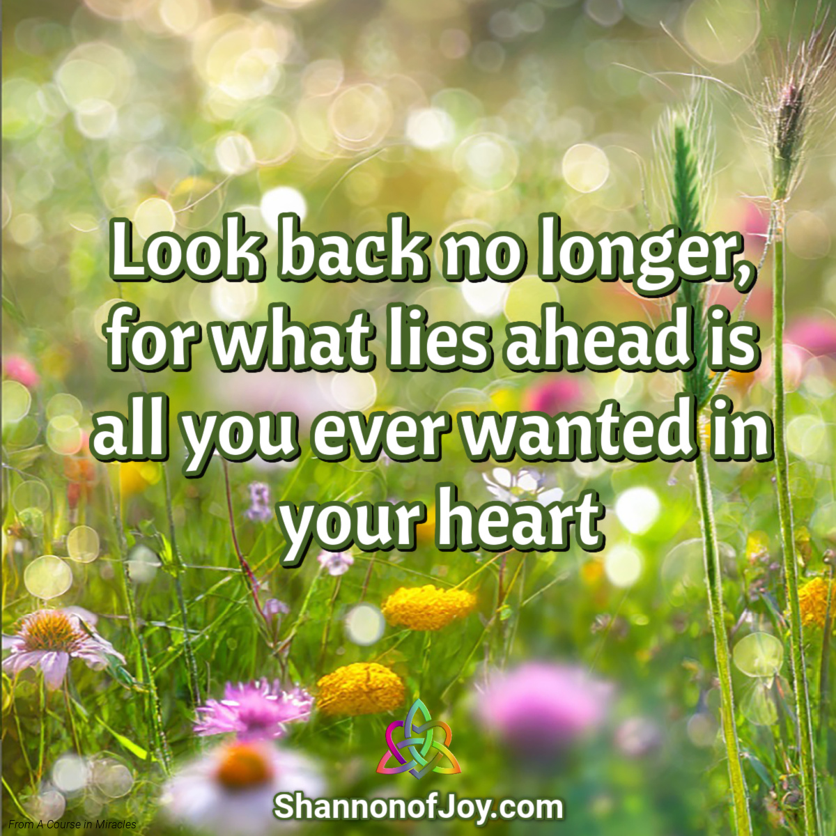 shannonofjoy's tweet photo. https://t.co/iaqsa5So0l