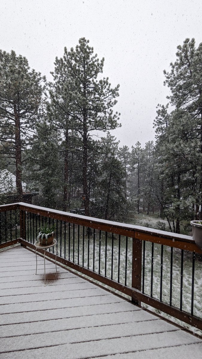 And snow it begins . . . 

Rain changed over to snow at approximately 11:30 AM in Evergreen (elevation 7,400 feet). #cowx