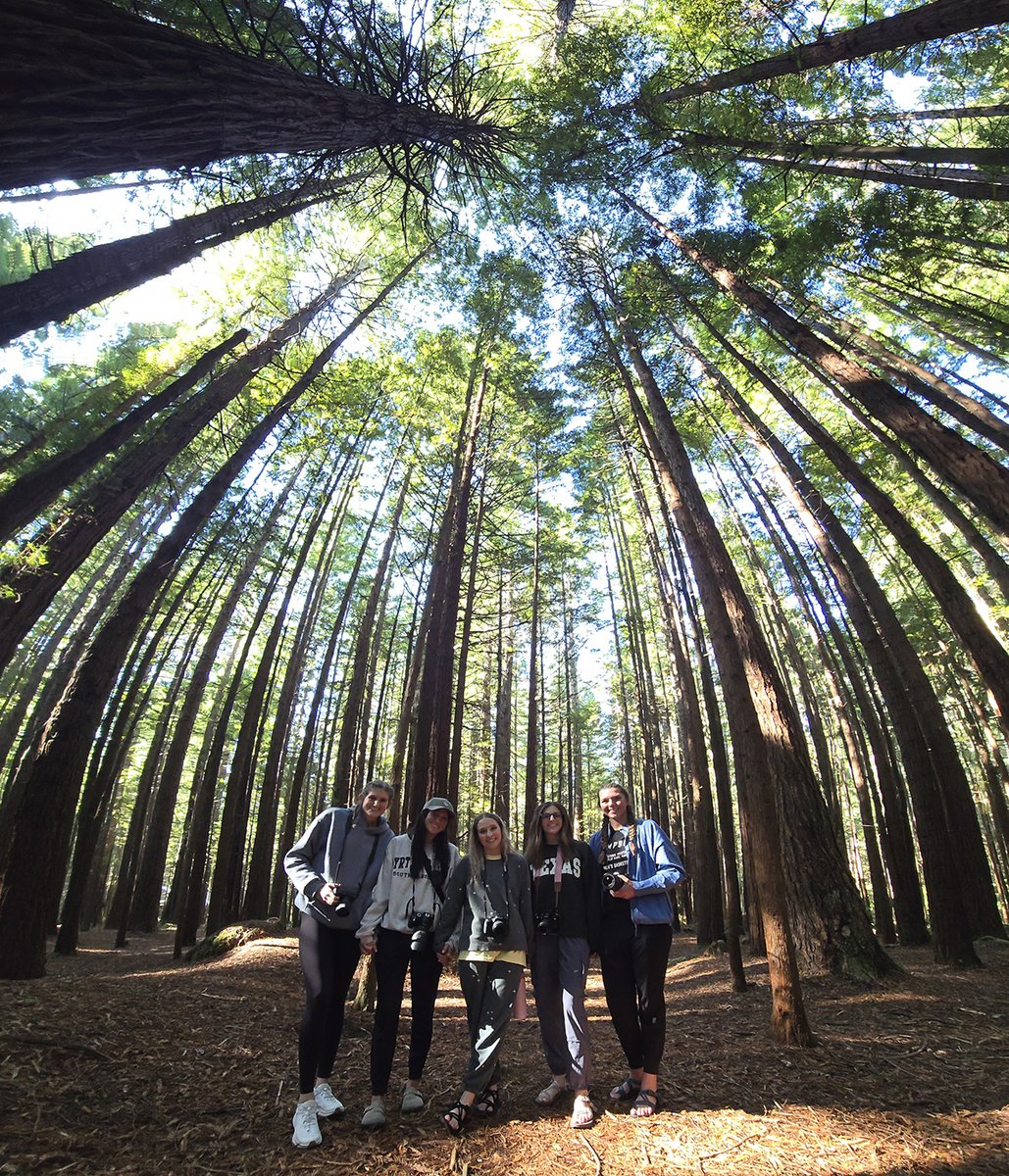 And they’re off! ✈️ May Term groups have landed in New Zealand, Ireland, and Spain, kicking off a few weeks of discovery and adventure. Follow along as they #taketheworldbySTORM! ⚡️