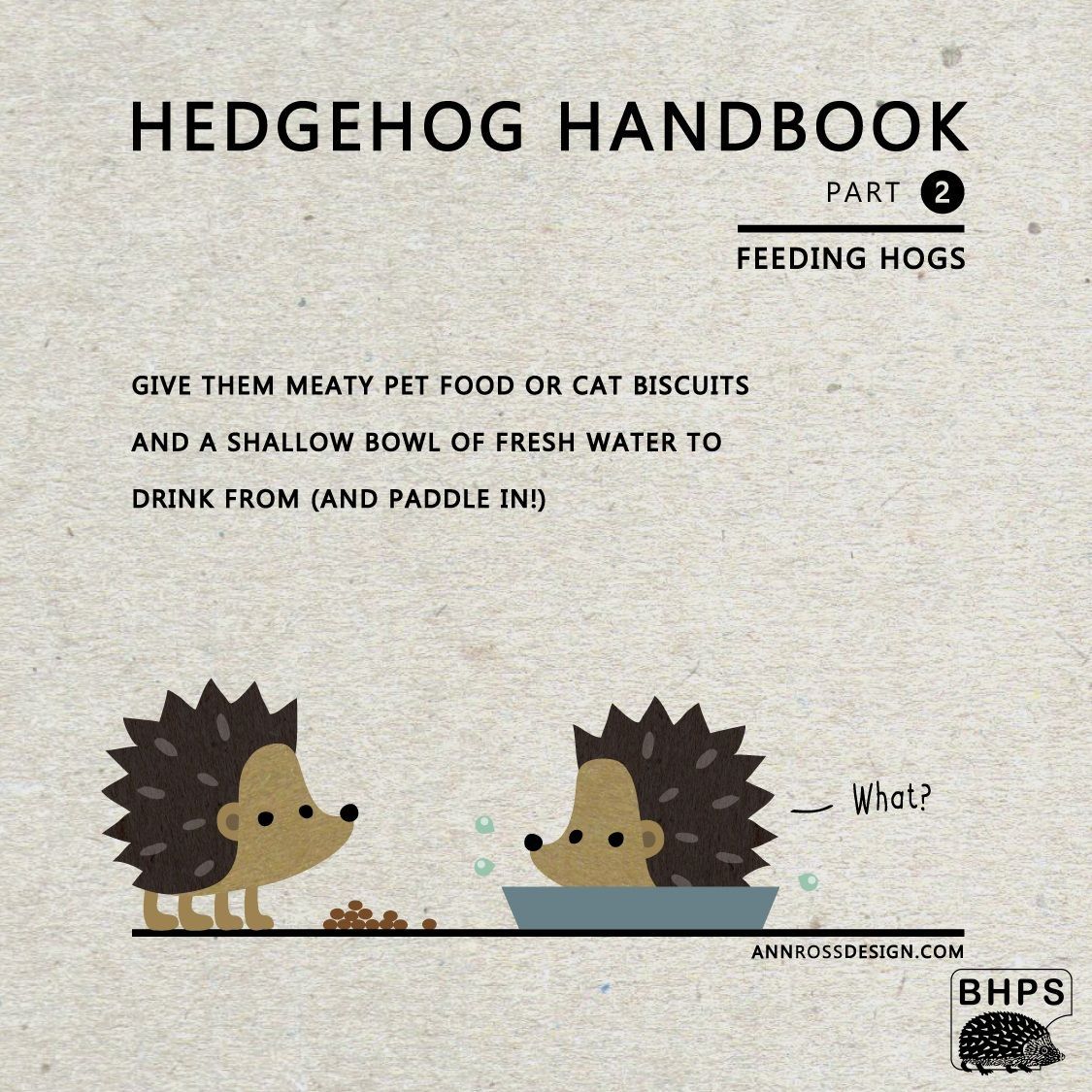 The best way to make sure wild #hedgehogs are well fed is to create wild edges, log piles &amp; leafy corners where they can forage for insects &amp; grubs🪲🪱🐜

But, you can also offer supplementary dishes of meaty pet food, or kitten biscuits, &amp; clean water.

#HedgehogWeek