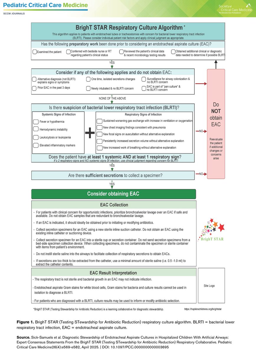 💡 Insights for Daily Clinical Practice 🩺

Read the new consensus clinical practice statements from the BrighT STAR Collaborative around obtaining respiratory cultures for hospitalized patients with artificial airways: bit.ly/3GxoXAX

#PedsICU #SCCM <a href="/SCCM/">SCCM</a>