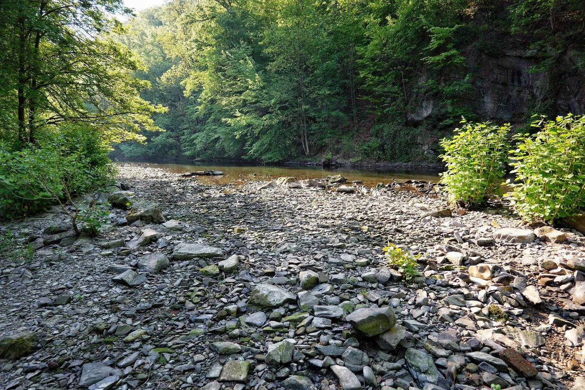 Die Trockenheit zeigt sich deutlich in den Flüssen. In der Wupper ist kaum noch Wasser zu finden. Vielen Dank an Achim Otto für die eindrucksvollen Fotos der Wupper im Bergischen Land.

#Wupper #Wuppertal #Trockenheit
