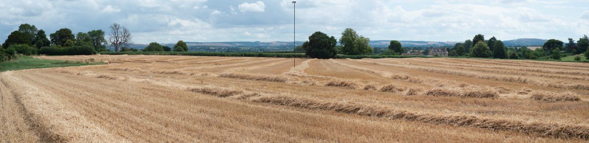 qubito's tweet photo. @TomJackSpencer But that's not the full story though, is it? The true scale of the development is the 120 relatively 'standard' dwellings planned in open, agricultural land. See planning ref. P/OUT/2023/02644 on Dorset Council's website. https://t.co/5NEdm6ocUz