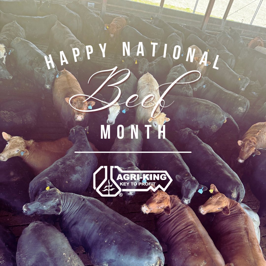 AgriKingInc's tweet image. Happy National Beef Month!

Join us throughout May as we share our knowledge of beef nutrition to help you improve your herd’s health and performance, and in turn your herd’s profitability.

#Beef #NationalBeefMonth #KeyToProfit