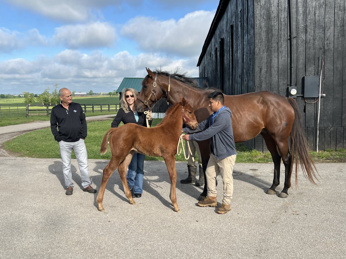 louisianabred's tweet photo. ๐ ๐ถ๐๐ ๐๐ ๐ ๐ด๐๐๐๐๐๐ (๐๐๐
๐ ๐ฏ๐๐๐)
Meet the breeders who produced the record-breaking $1.5 million Louisiana-bred sold at the OBS Spring 2-Year-Olds in Training Sale
Read more here: https://t.co/h0Vl8Giabz
#louisianabred #saletopper #record https://t.co/AVWbz51n8W