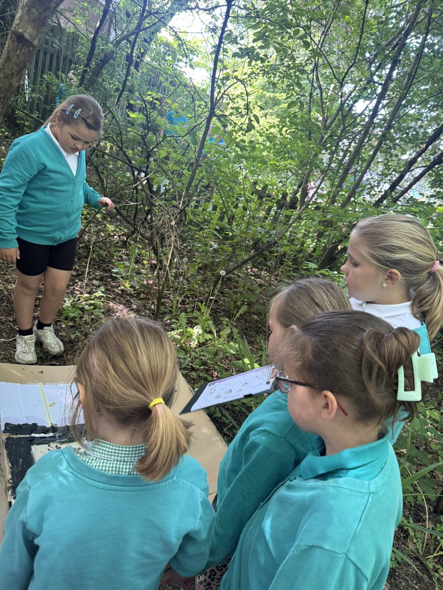tynywernp's tweet image. Dosbarth Bluebirds discovered hedgehog footprints in their animal footprint tunnels today. Inspired by this, they have decided to develop the school garden into a hedgehog-friendly environment to encourage more wildlife. @EcoSchoolsWales @hedgehogsociety #HedgehogAwarenessWeek