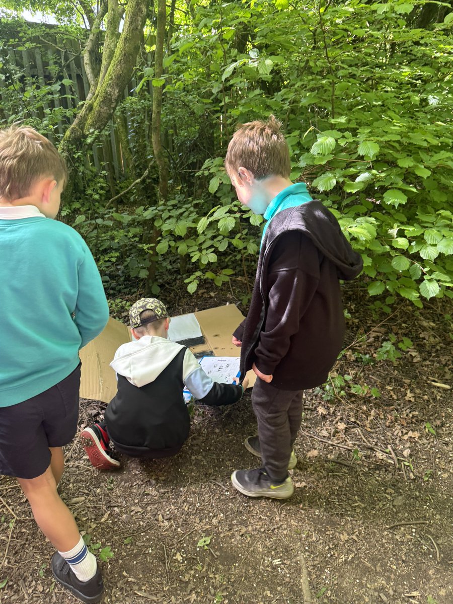 tynywernp's tweet image. Dosbarth Bluebirds discovered hedgehog footprints in their animal footprint tunnels today. Inspired by this, they have decided to develop the school garden into a hedgehog-friendly environment to encourage more wildlife. @EcoSchoolsWales @hedgehogsociety #HedgehogAwarenessWeek