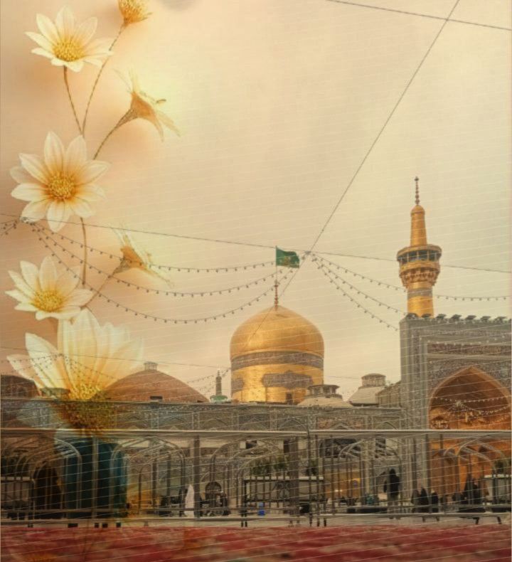 من مشهد بروم، همه دردهایم درمان می‌شود :)!
#ایران_امام_رضا 
#پناه_هشتم