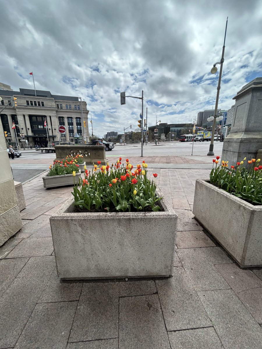 Peter MacKay tweet media