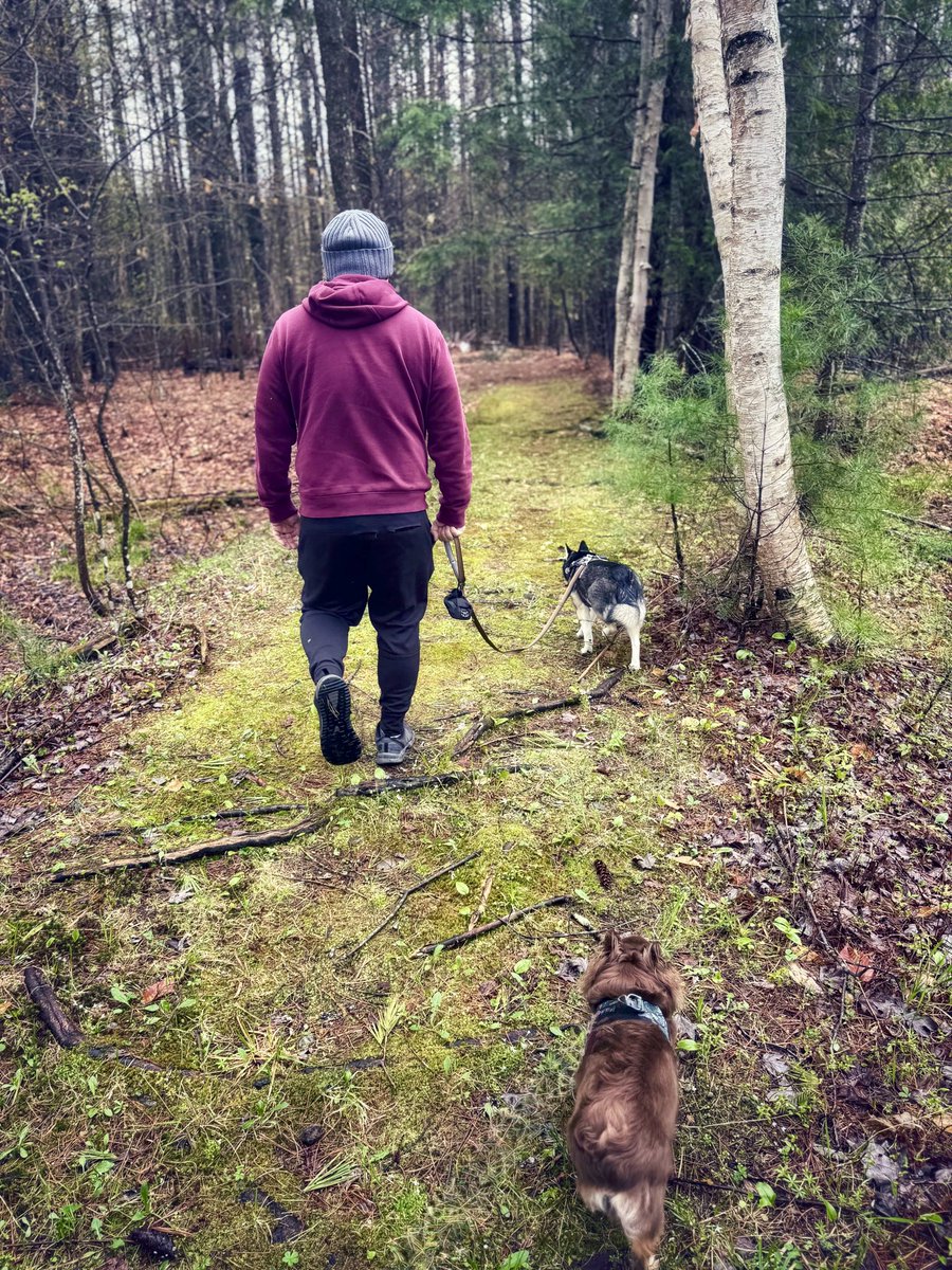 “These empty roads, they call my name…”