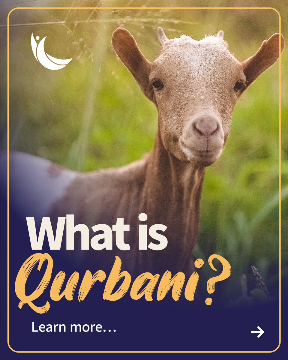 ridwanawl's tweet image. #Qurbani #IslamicHelp 

Link to donate: 

launchgood.com/v4/campaign/ri…