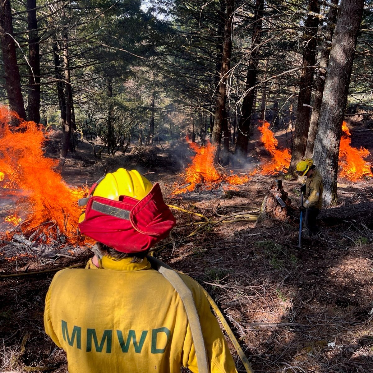 *PILE BURNING ON MT. TAM WATERSHED THE WEEK OF May 6* 
- Near the Meadow Club and Bolinas-Fairfax Road
- Will continue for additional days this week if conditions are right. Smoke coming from the area may be visible during this work. 
Learn more: marinwater.org/WatershedResil…