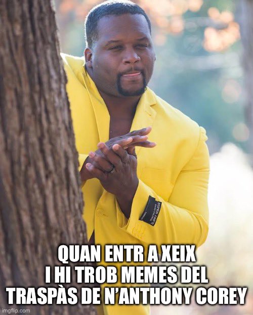 Potser el meu mem predil·lecte de twittercat. ACS.