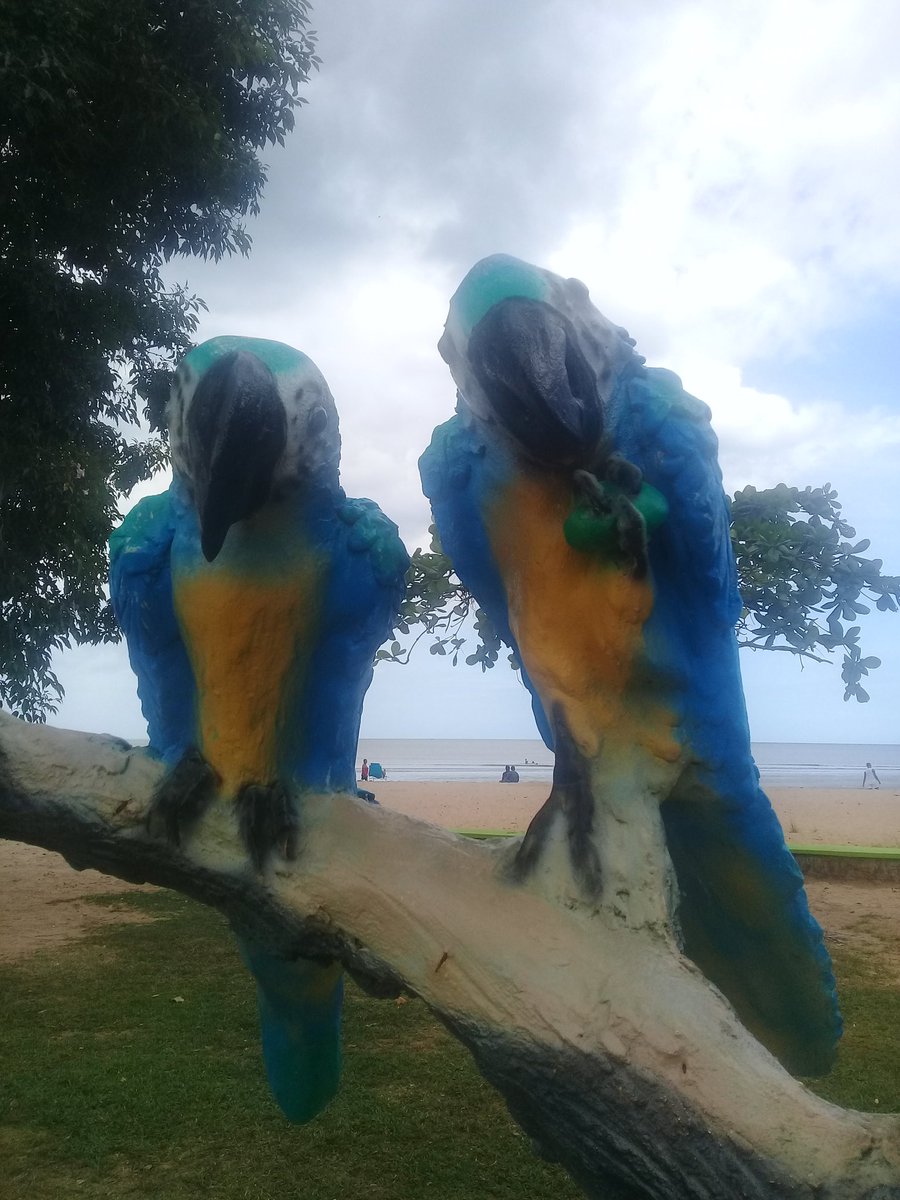 Pat Lee (@patlee59375062) on Twitter photo 