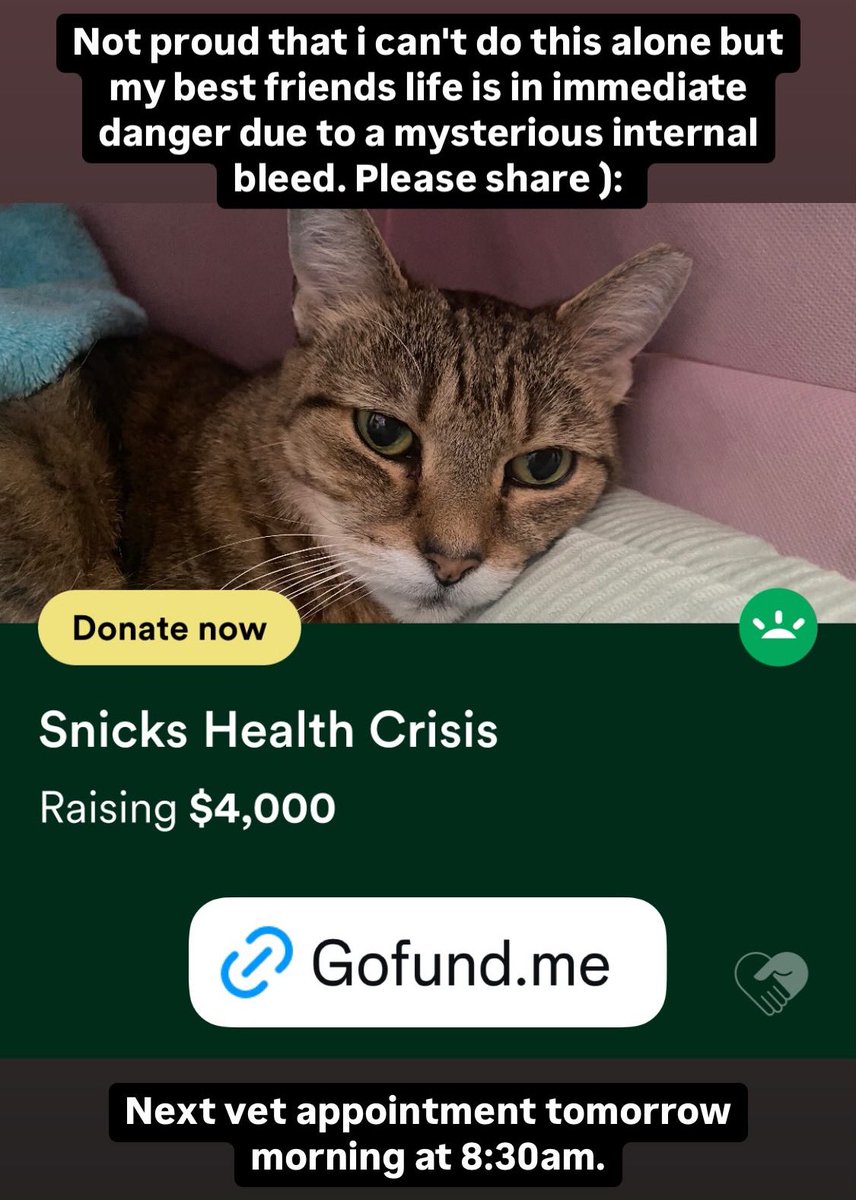 KermithyFrog's tweet photo. https://t.co/9ky9c8mQXg

Embarrassed to ask for help but I have done every single thing I can and I cant let my own ego get in the way of saving my best friend. Please share. I need my baby. https://t.co/1jyj613EZQ