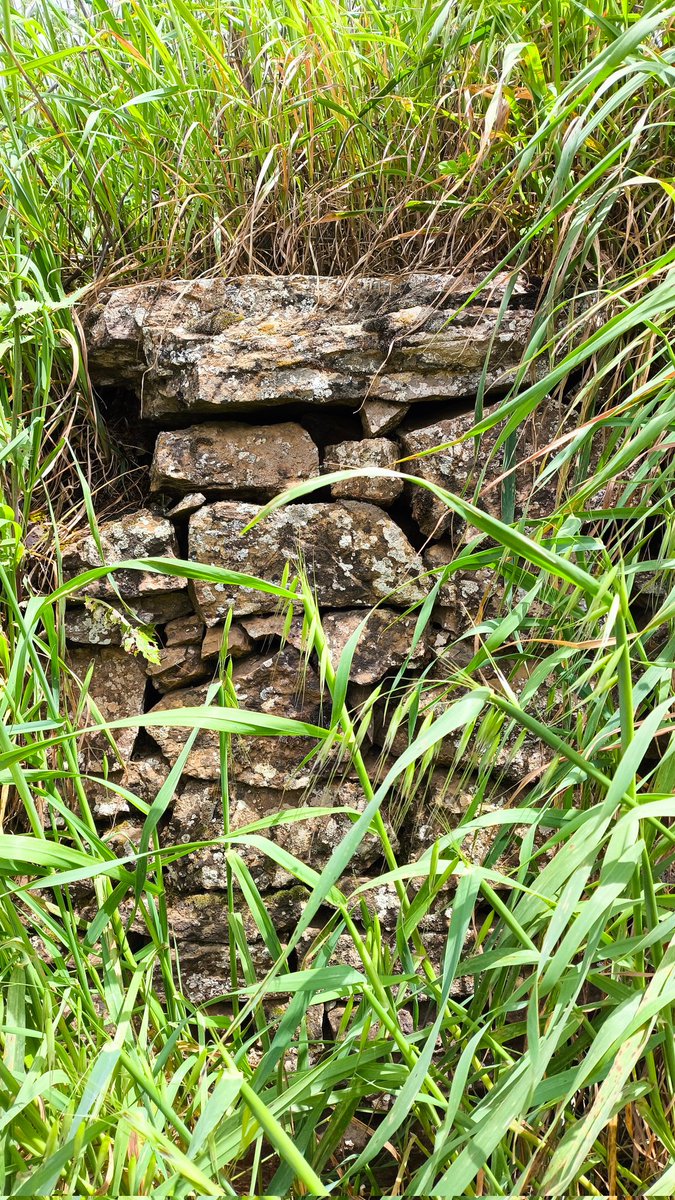 raul_detena's tweet image. En el fondo, en lo más profundo de ti... Eres más fuerte de lo que piensas...

#ReflectionTime #MurosDeCarga