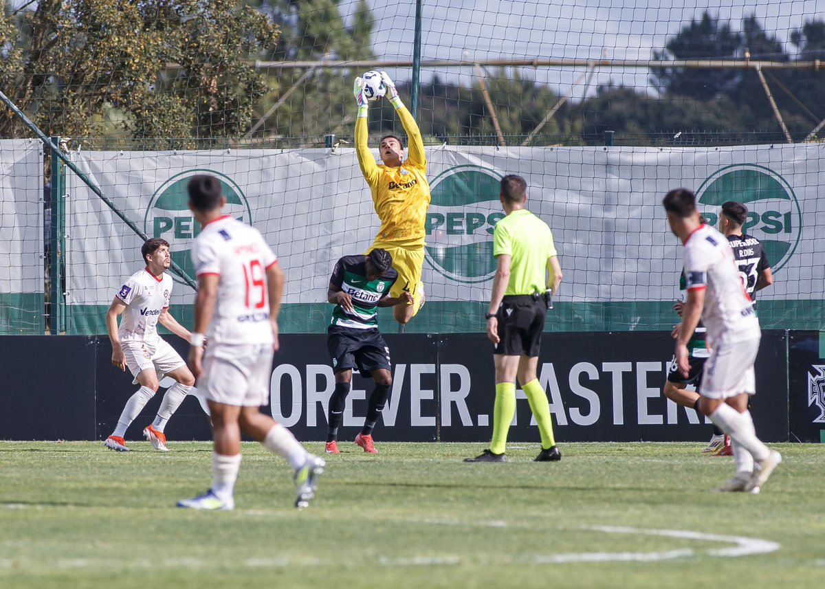 CallaiDiego's tweet image. Vitória importante para continuarmos em direção ao nosso objetivo. 🦁