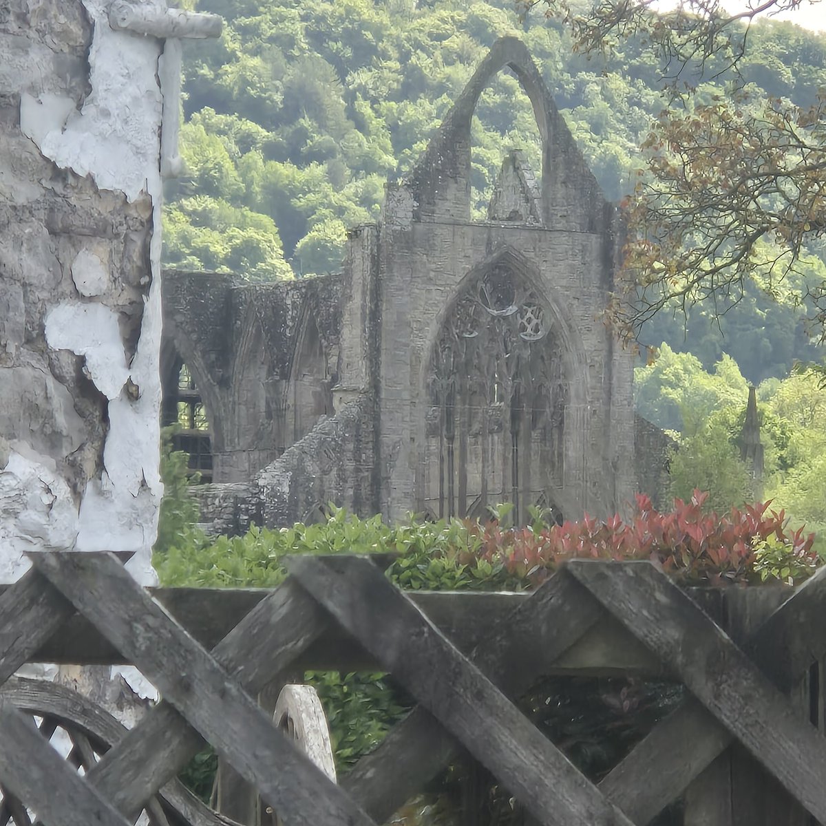 StumpedEnt's tweet image. Enjoyed a lovely family walk in Tintern this past weekend. Hope you all had a good one!