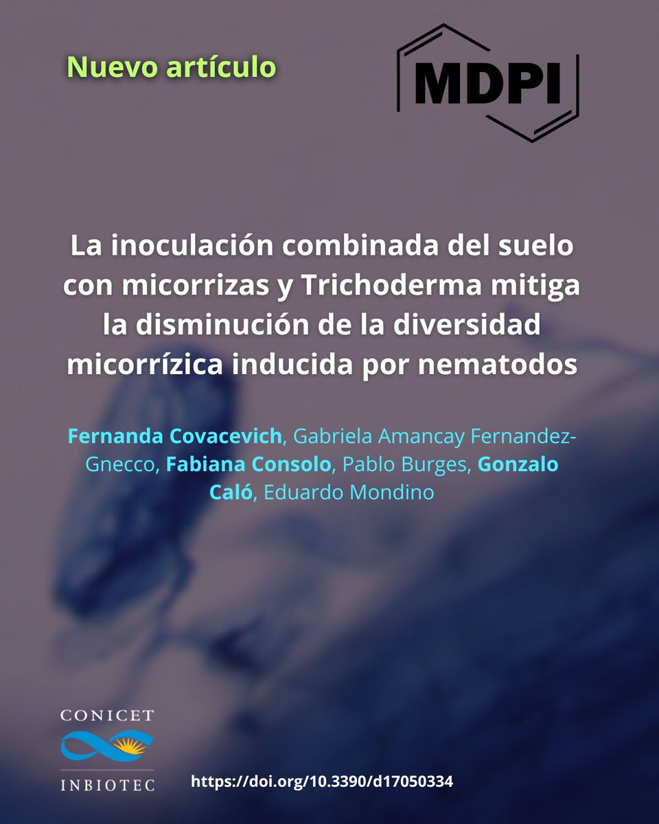 InbiotecConicet's tweet photo. ¡Nuevo artículo!📢

🔬 La inoculación combinada del suelo con micorrizas y Trichoderma mitiga la disminución de la diversidad micorrízica inducida por nematodos

📙 Journal Diversity https://t.co/1mVQpF0xjD
