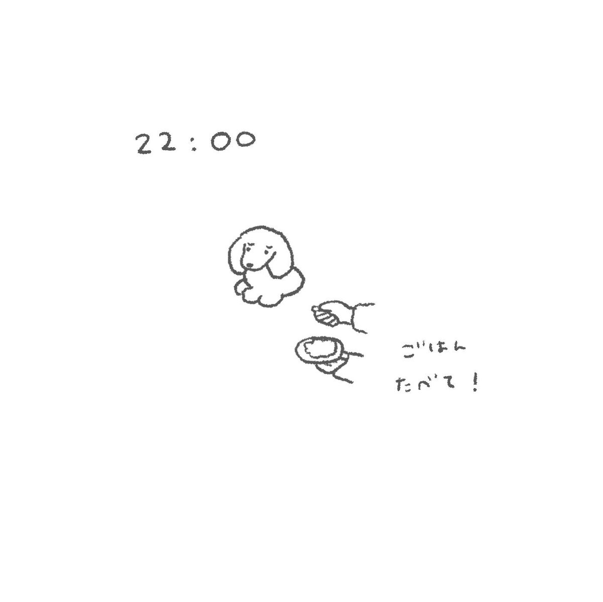深夜に食べるご飯が1番おいしいみたいです。 #おじいちゃん犬日記🐶 
