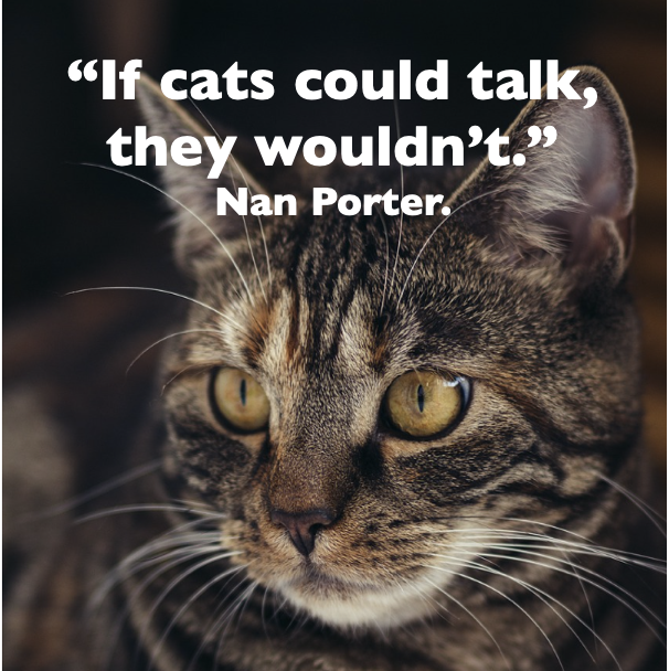 DatingForMating's tweet image. This is a truly great read by Ed Case for anyone thinking of getting a pet cat. All the main points are covered in a witty, memorable and engaging style.  Out NOW on Amazon.
tinyurl.com/fa9tmhm4 #writers #tuesdayvibe
