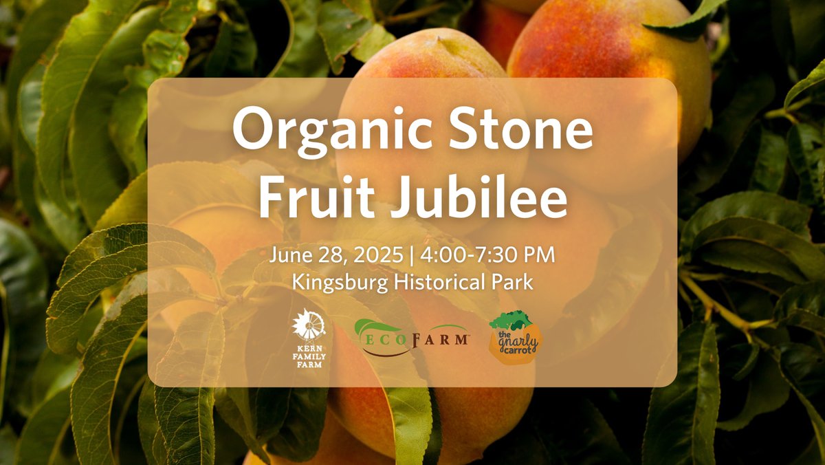 Come celebrate the 16th year of the Organic Stone Fruit Jubilee on Saturday, June 28, 2025 from 4-7:30 pm at the Kingsburg Historical Park! Featuring fruit tastings, kid-friendly activities, fresh produce available for purchase and more.

Register at: eco-farm.org/organic-stone-…