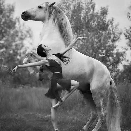 Bazı şarkılar pahalıdır.
Dinlemek için
çok şey kaybetmek gerekir...🍁