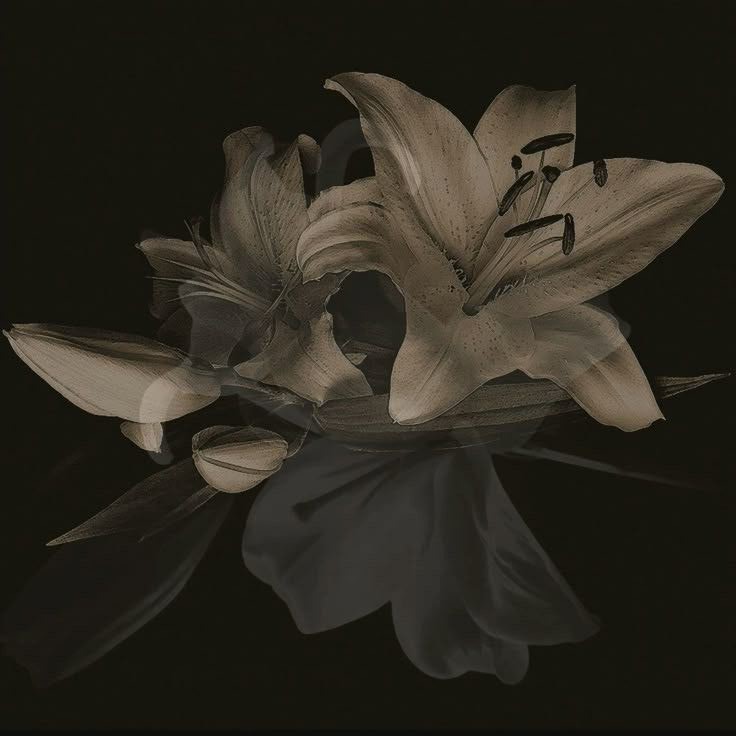 ttrustnobtch's tweet image. 