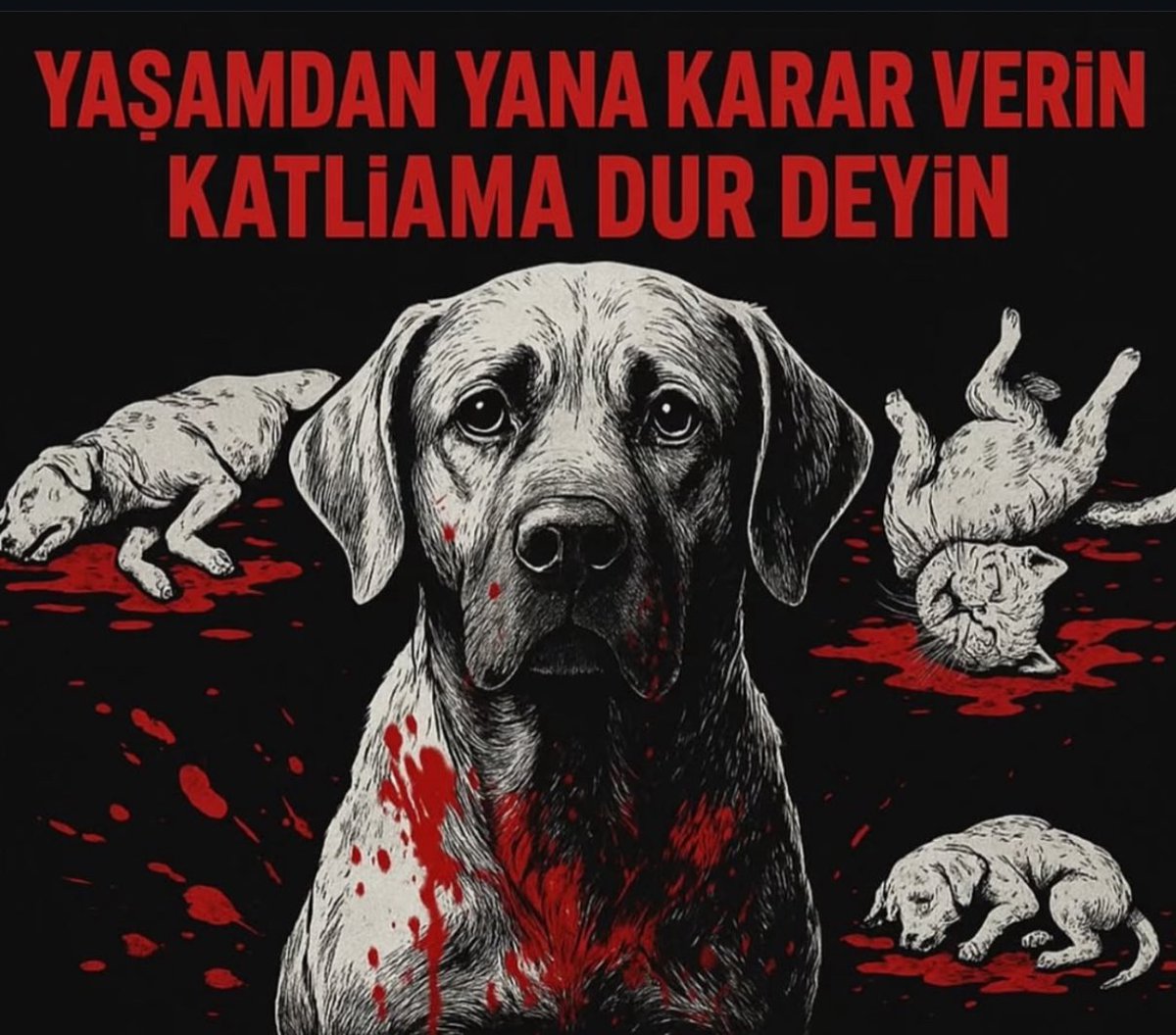 K@tliamların önünü açan, şiddeti meşrulaştıran, k@tillere cesaret veren  bu yasayı iptal edin #aymyasayıiptalet 
#YasamHaktırAYM 
<a href="/AYMBASKANLIGI/">Anayasa Mahkemesi</a>