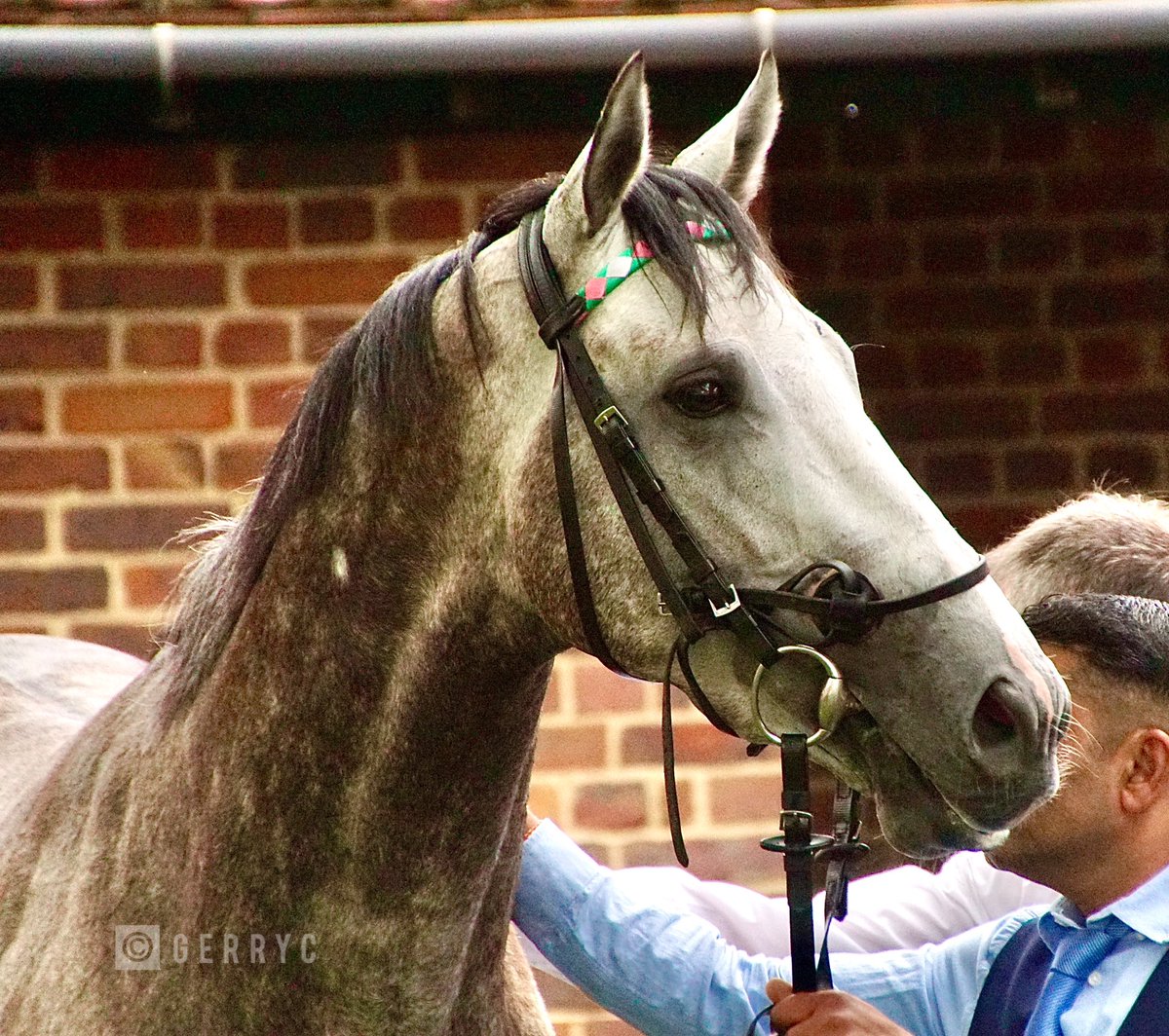 Epsom1780's tweet photo. A couple of my pics of the first two in the 2000 Guineas last weekend! So glad I was there, I nearly had to work instead!😬 #RulingCourt #FieldOfGold https://t.co/LMunB03cEW