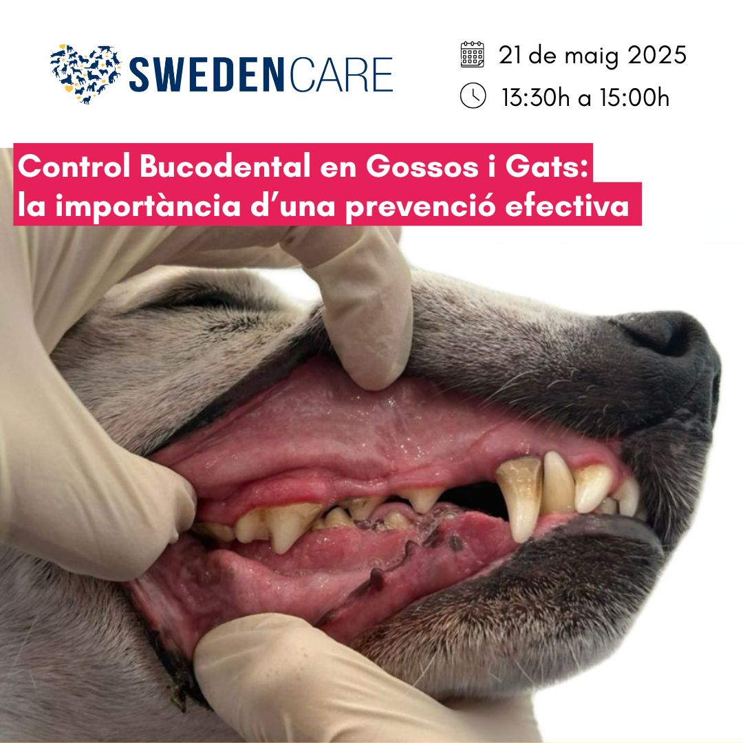 Aquest maig et portem dos nous esdeveniments formatius:
🔗 covb.cat/formacio/nova-…
🔗 covb.cat/formacio/curs-…