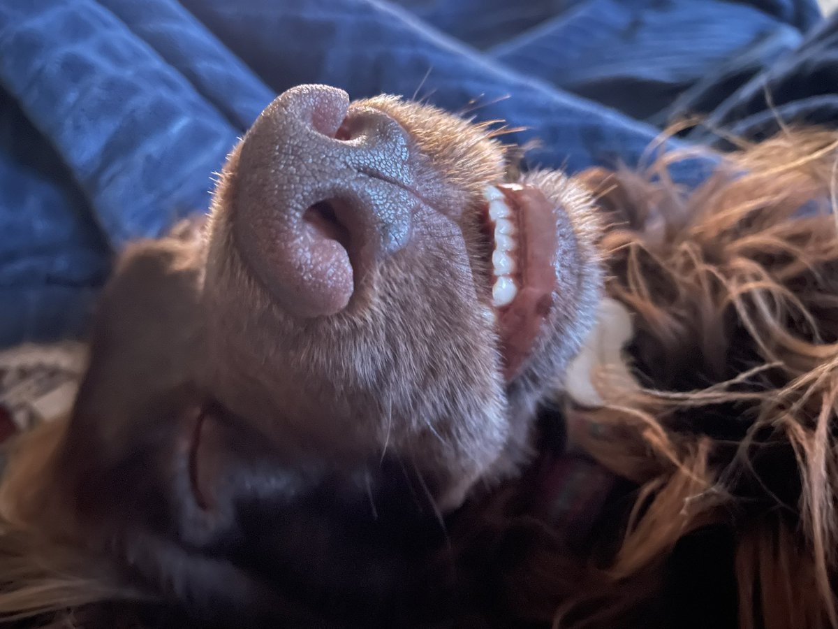 Nicky Jacques tweet media