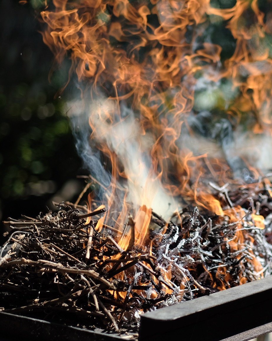 If Tempranillo could talk, it would whisper secrets of smoke, leather, and dark fruit. The stories are in the glass. 🍷

📚 Read the full article: loom.ly/pGpOCbk

#WineStorytelling #SpanishTerroir #RiberaDelDueroWines #TempranilloTales #riberadelduero #doribera
