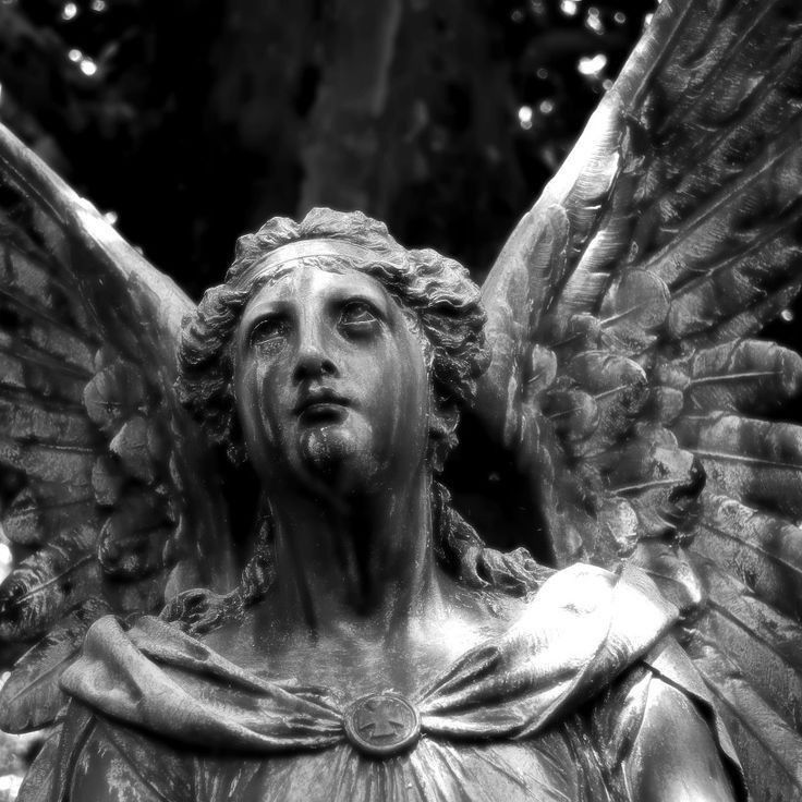 Black. (@blackdreamvibes) on Twitter photo 