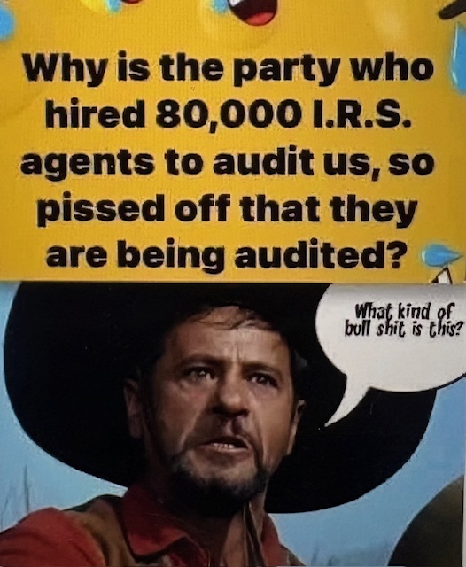 <a href="/TrumpsHurricane/">Val</a> Democrats??