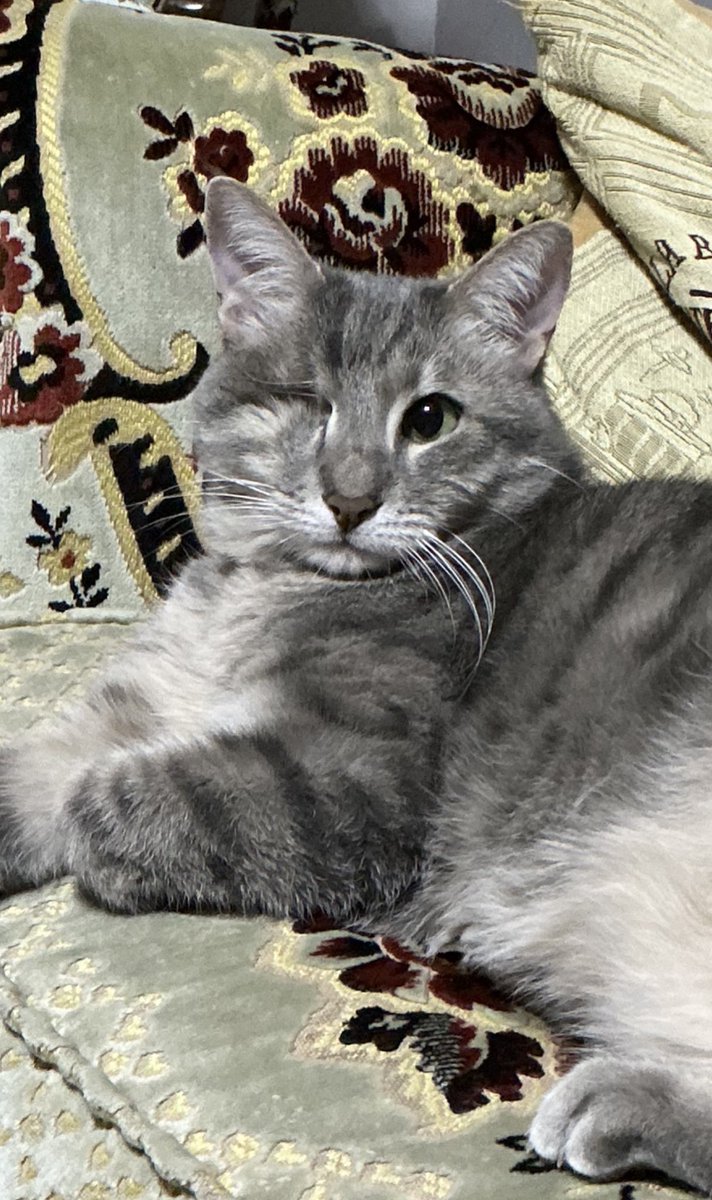 Dünya gülümseme gününüs kudlu olsum #DünyaGülümsemeGünü