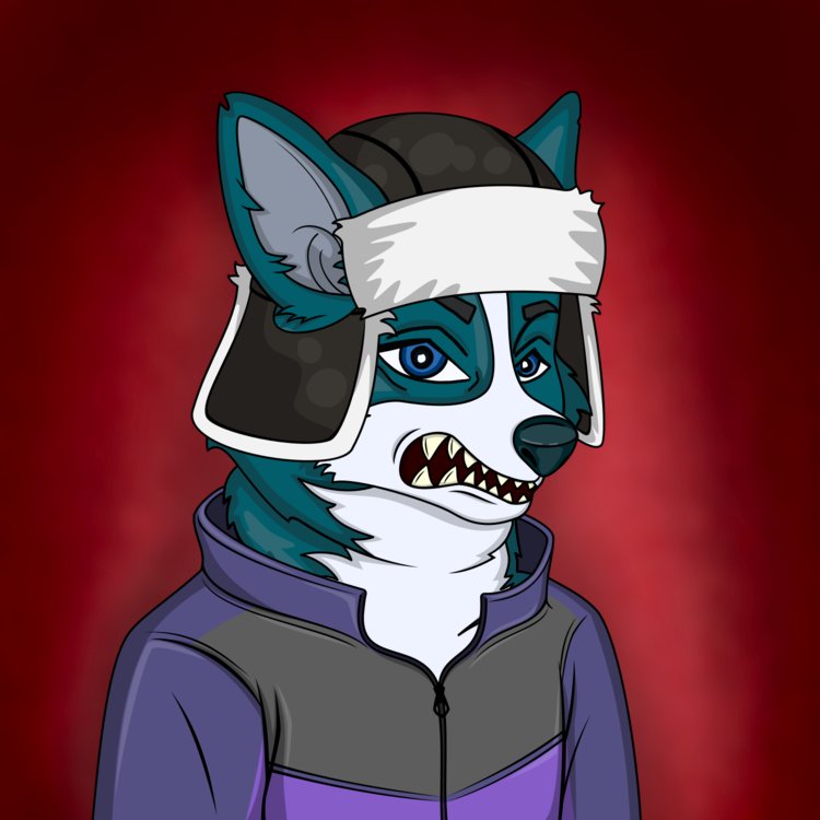 ThreePete93's tweet image. #DefiApeKings &amp;amp; #CorgiClub 💪🏼