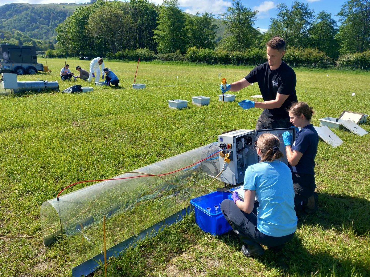 Prysor Williams tweet media