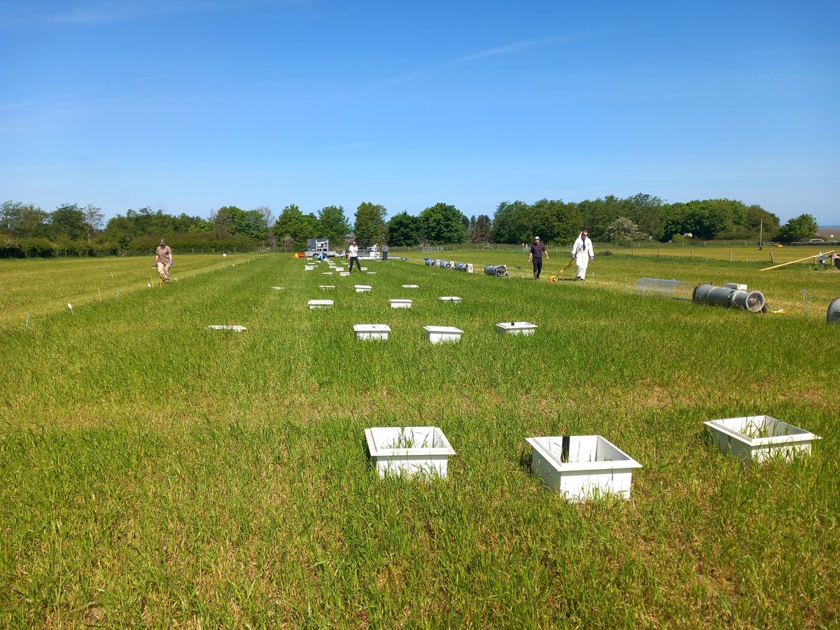 Prysor Williams tweet media