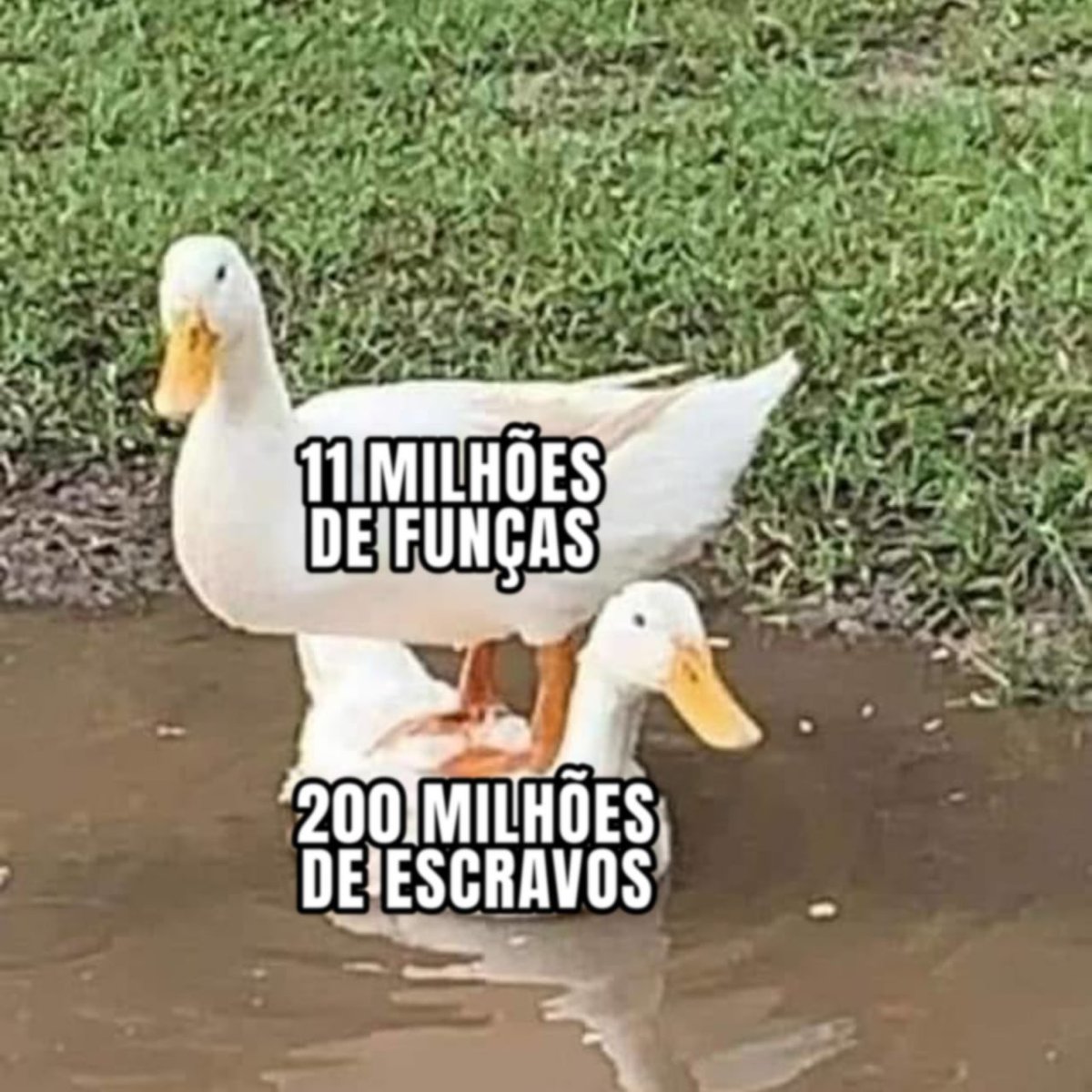 Liberalismo Lifestyle (@ancap_freestyle) on Twitter photo 